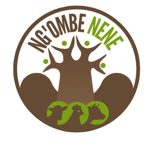 Ngo'mbe Nene Investment Limited
